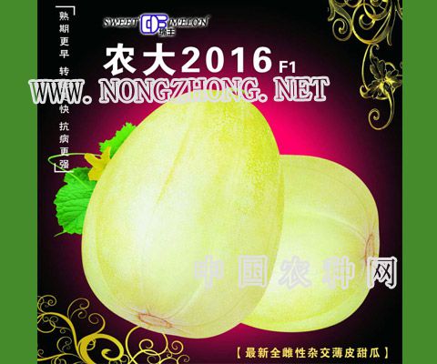 农大2016